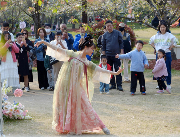 清明假期期間，上海顧村公園櫻花島上，游客在觀賞國風(fēng)漢服快閃表演。（圖片來源：視覺中國）
