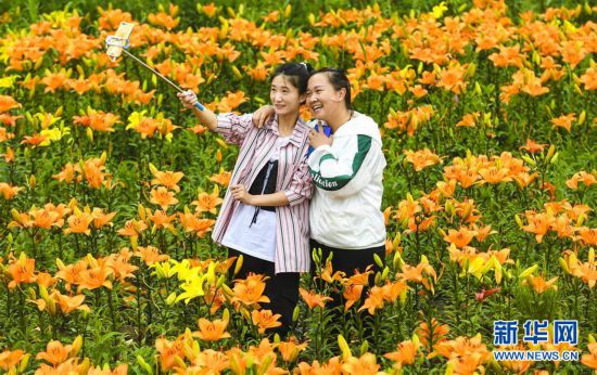 （社會(huì)）（4）黑龍江伊春：消夏旅游熱